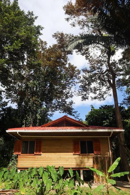 Jungle Beach 2 Bedroom Cottage Bocas del Toro Exterior photo
