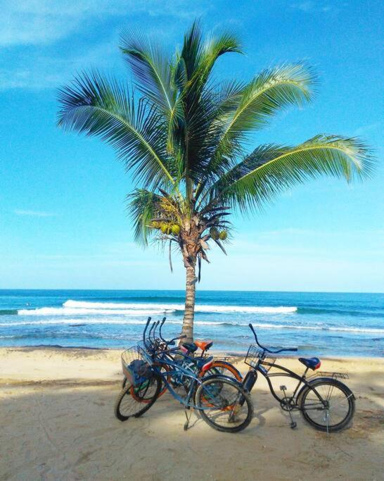 Jungle Beach 2 Bedroom Cottage Bocas del Toro Exterior photo
