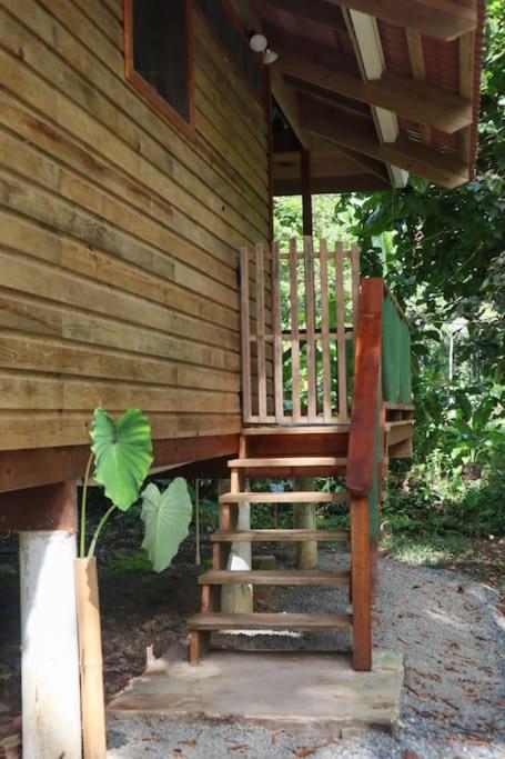 Jungle Beach 2 Bedroom Cottage Bocas del Toro Exterior photo